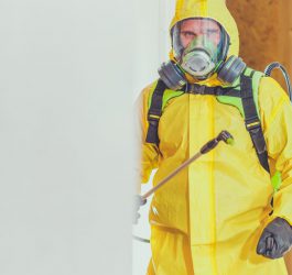 Ozonowanie mieszkania – najlepsza technika oczyszczania powietrza