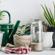 Całoroczny ogród domowy