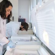 Wszystko o zamrażarkach kriogenicznych