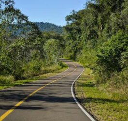 Droga Wewnętrzna – Poznaj Przepisy Budowlane